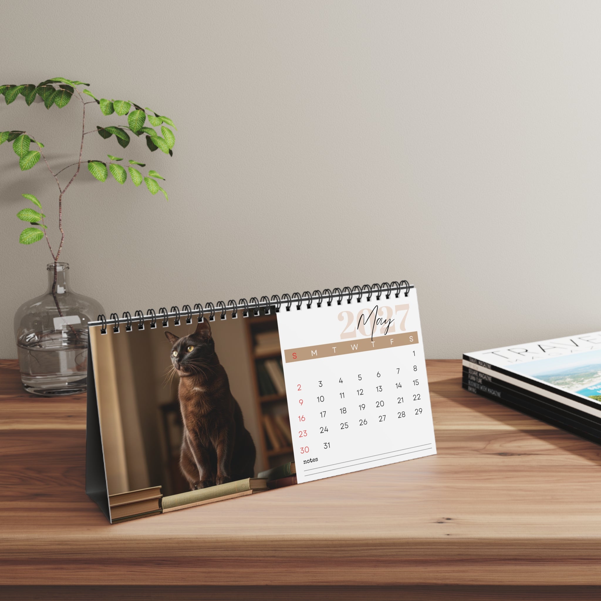 Burmese Cat Desk Calendar 2027