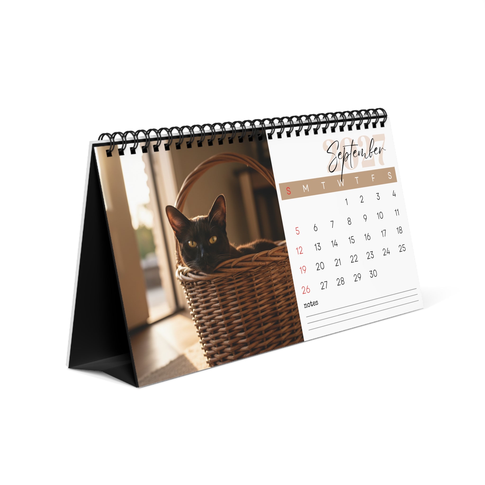 Burmese Cat Desk Calendar 2027
