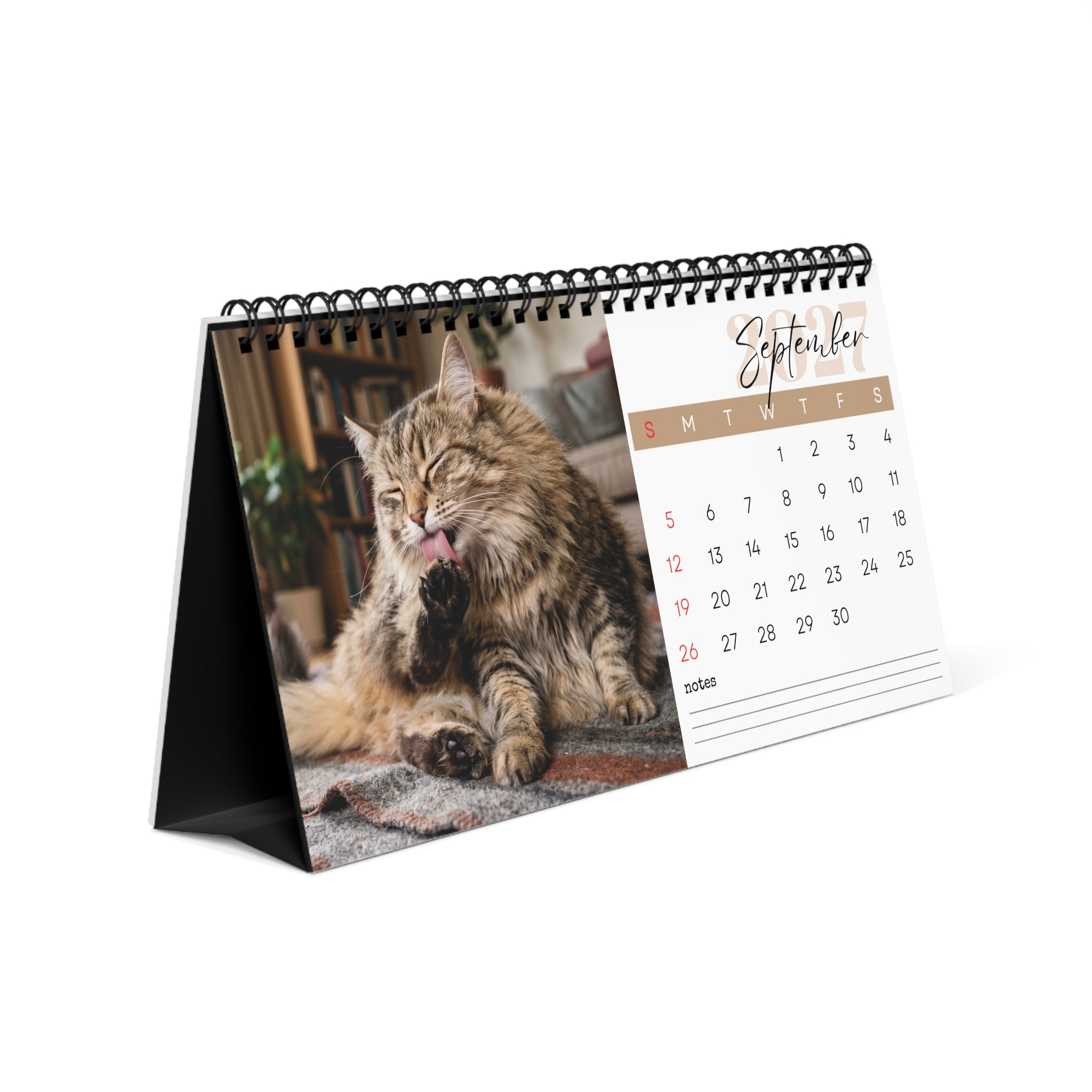 Norwegian Forest Cat Desk Calendar 2027