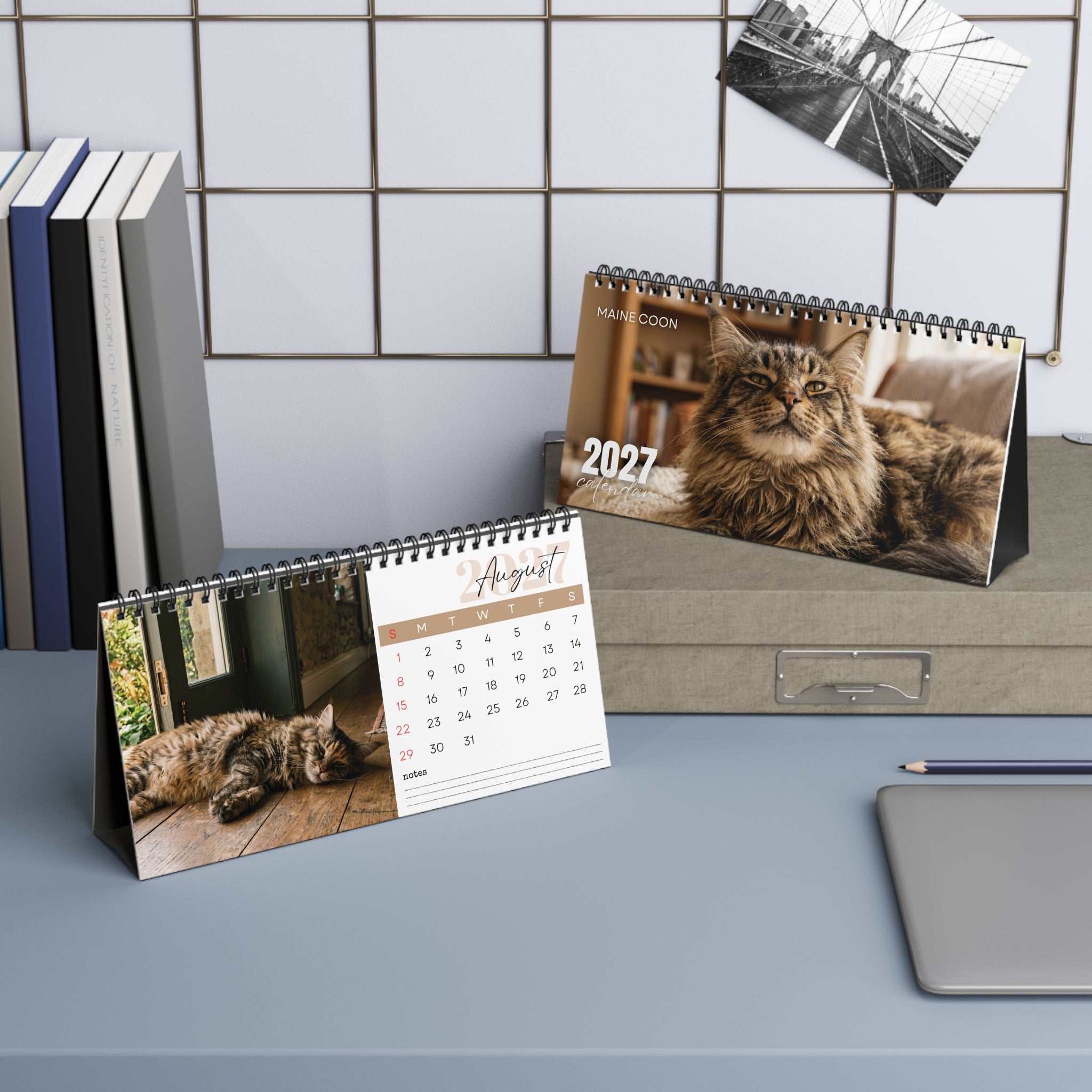 Maine Coon Cat Desk Calendar 2027
