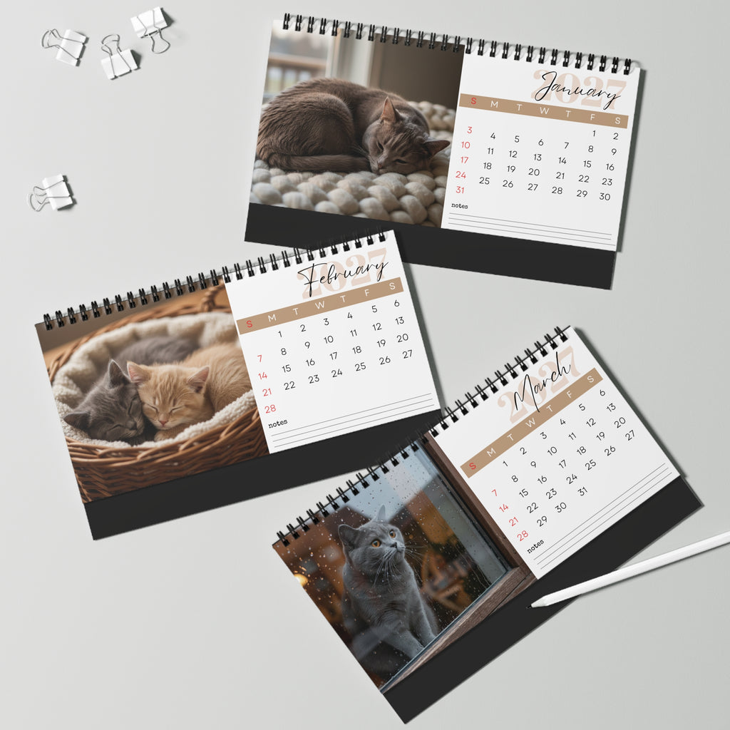 British Shorthair Desk Calendar 2027