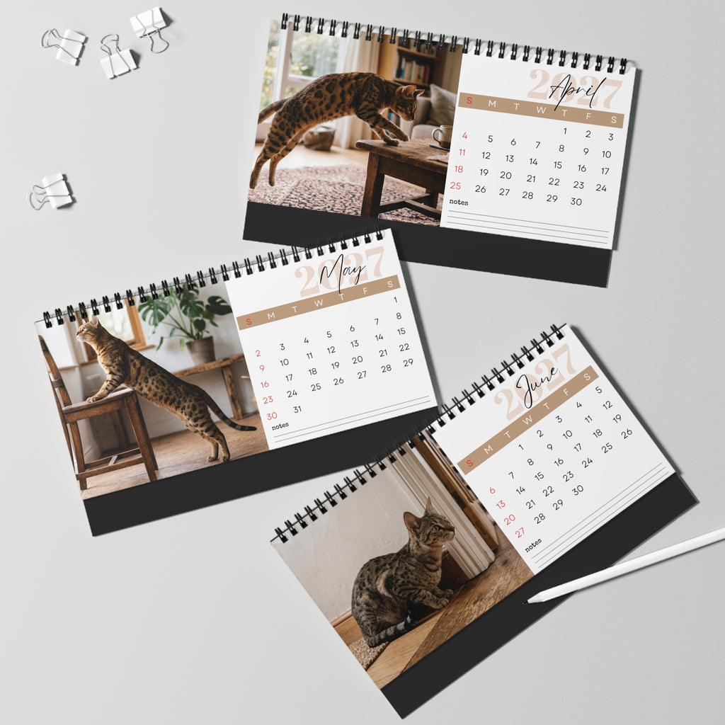 Serengeti Cat Desk Calendar 2027
