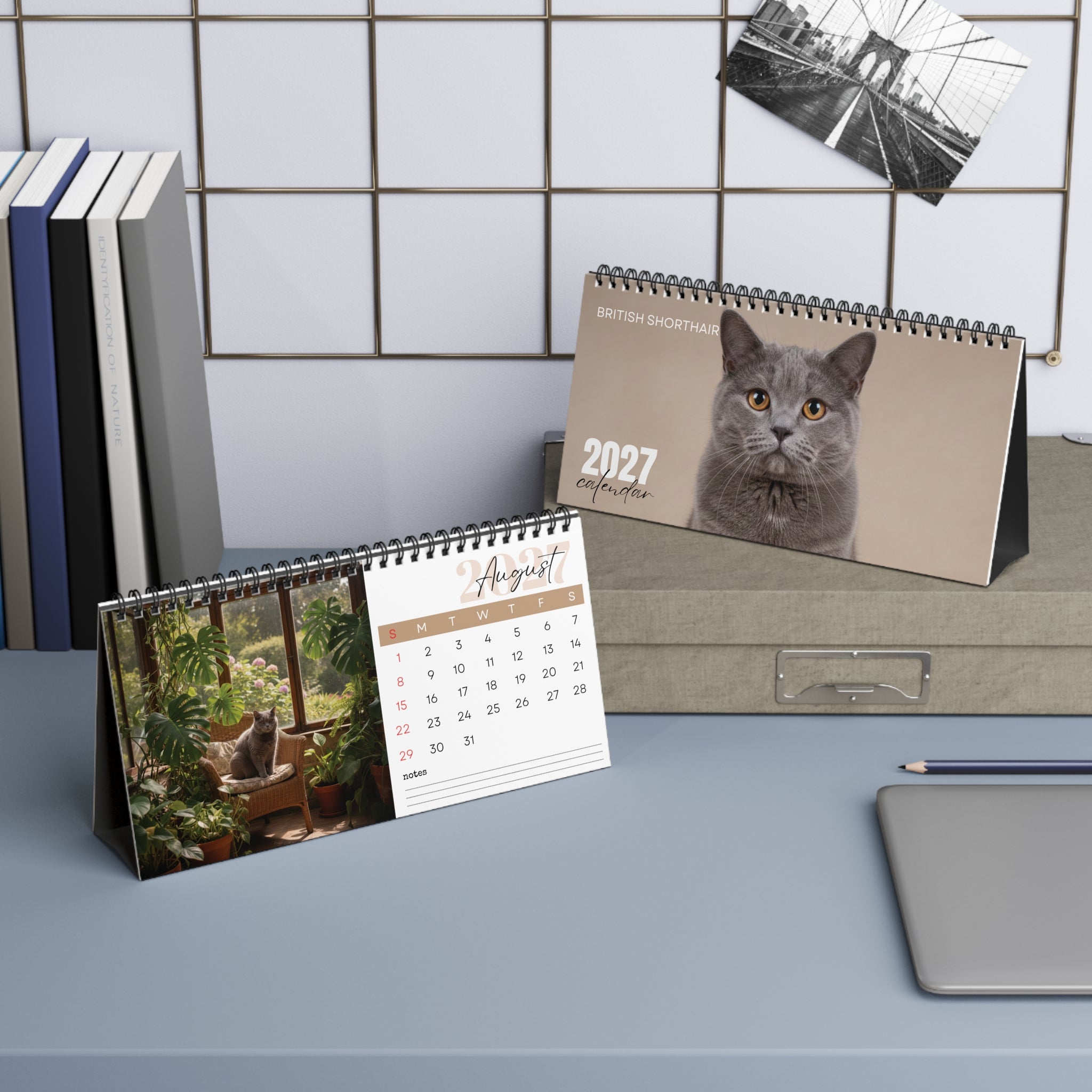 British Shorthair Desk Calendar 2027