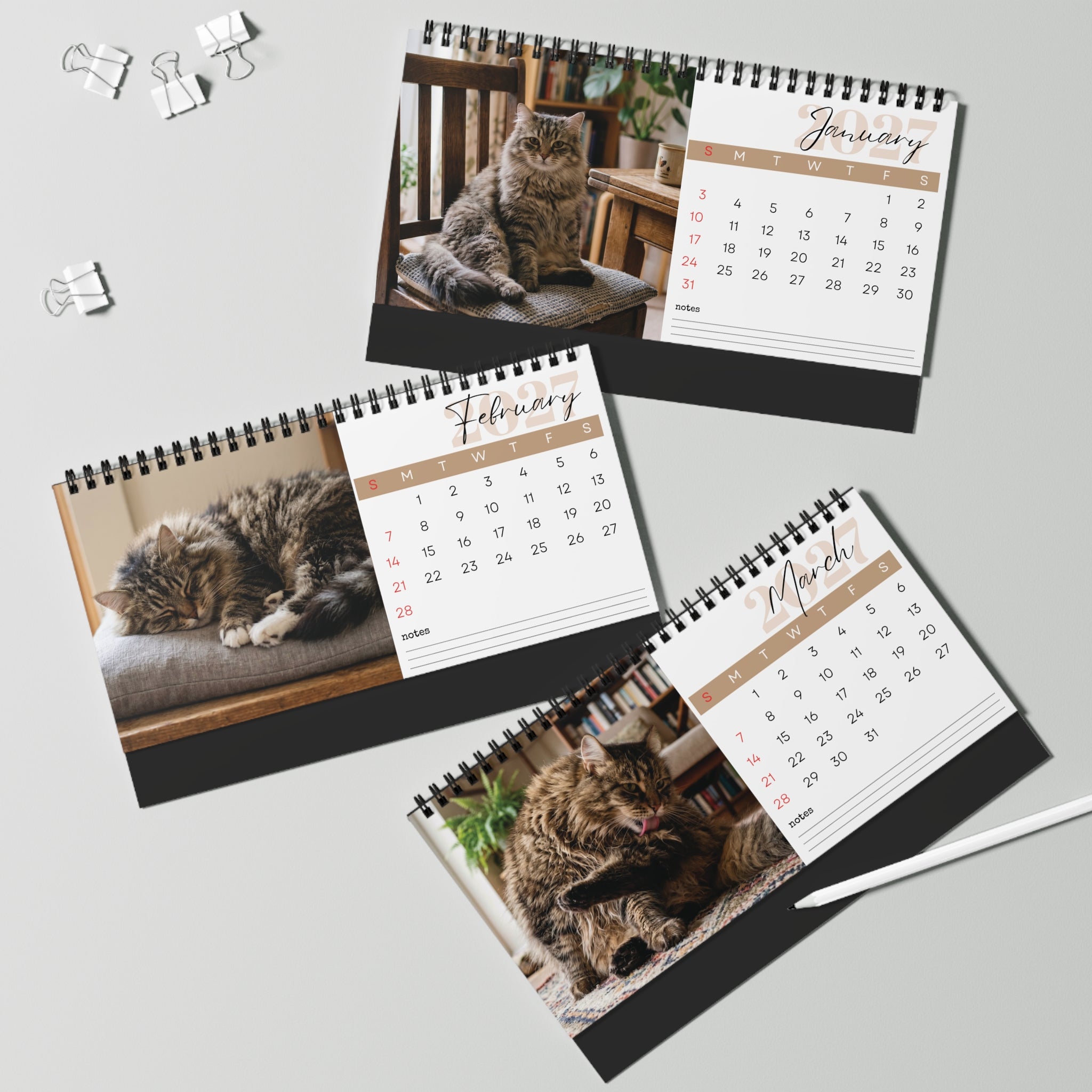 Siberian Cat Desk Calendar 2027