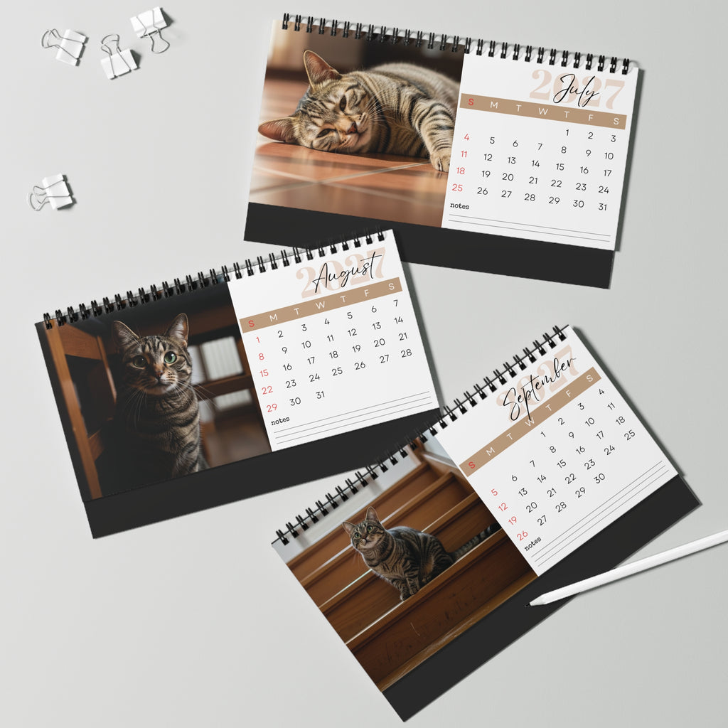 European Shorthair Desk Calendar 2027