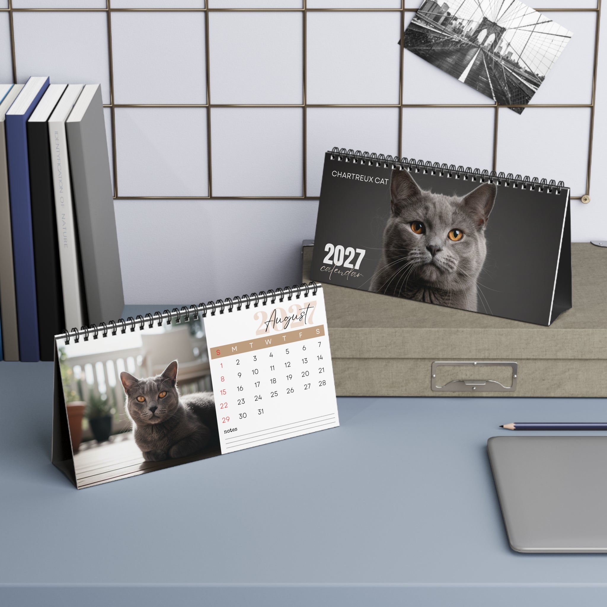 Chartreux Cat Desk Calendar 2027