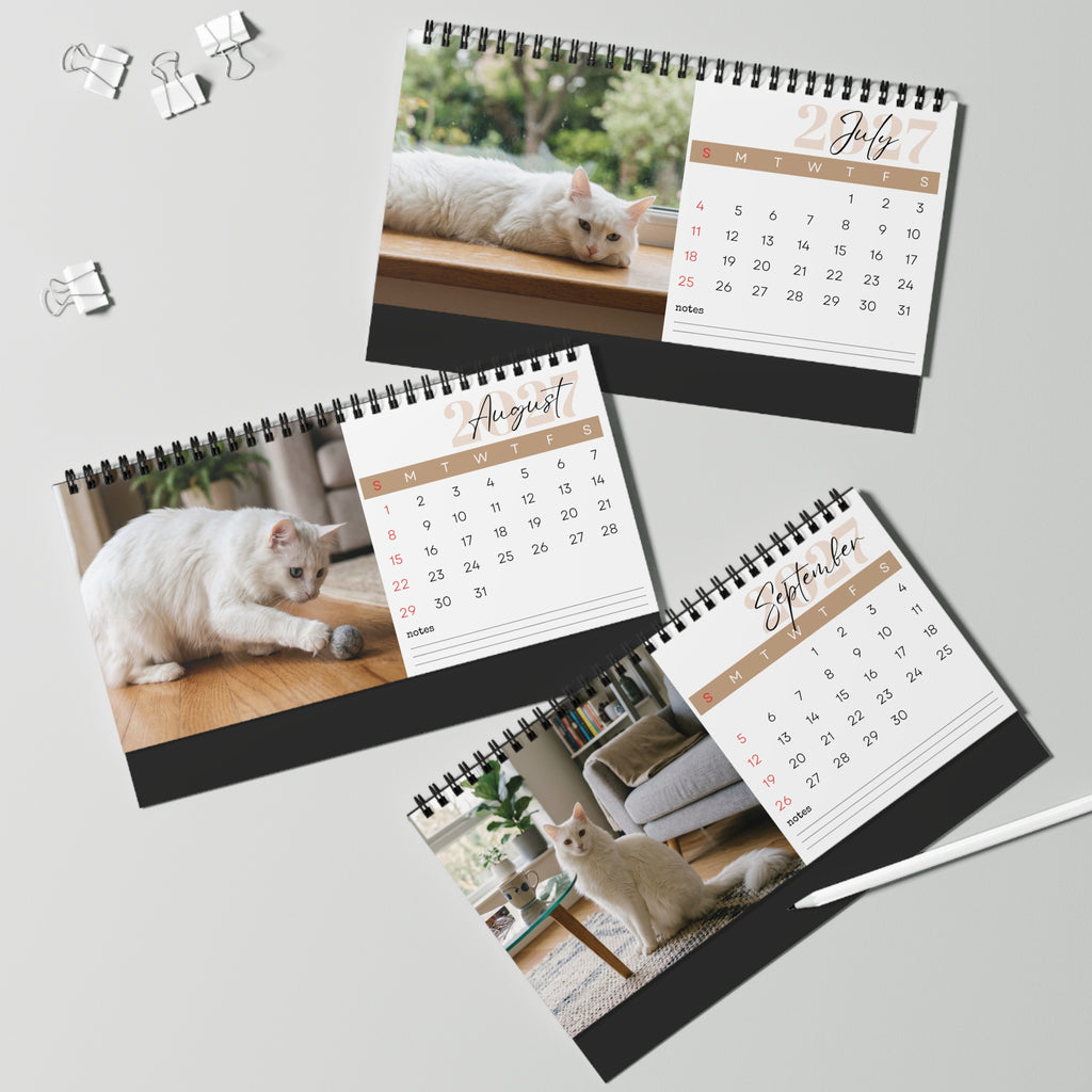 Turkish Angora Cat Desk Calendar 2027