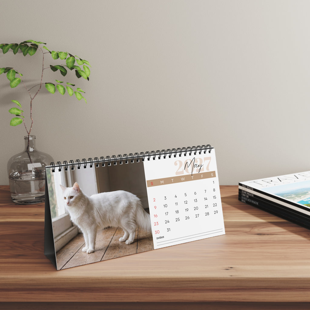Turkish Angora Cat Desk Calendar 2027