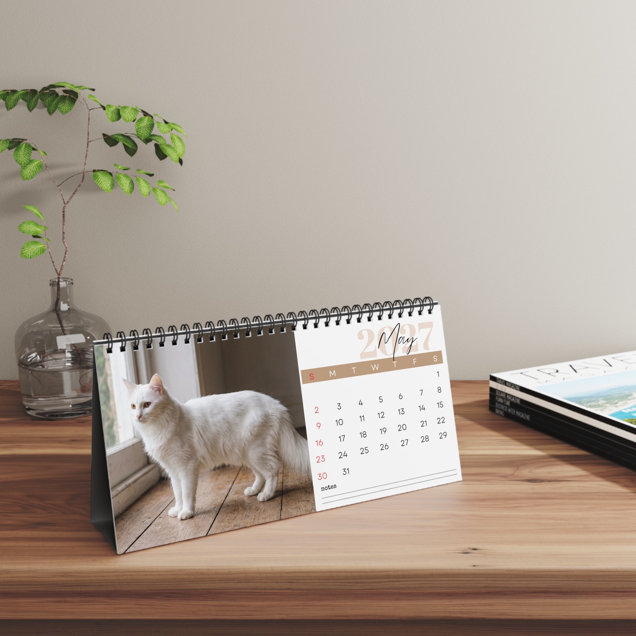 Turkish Angora Cat Desk Calendar 2027