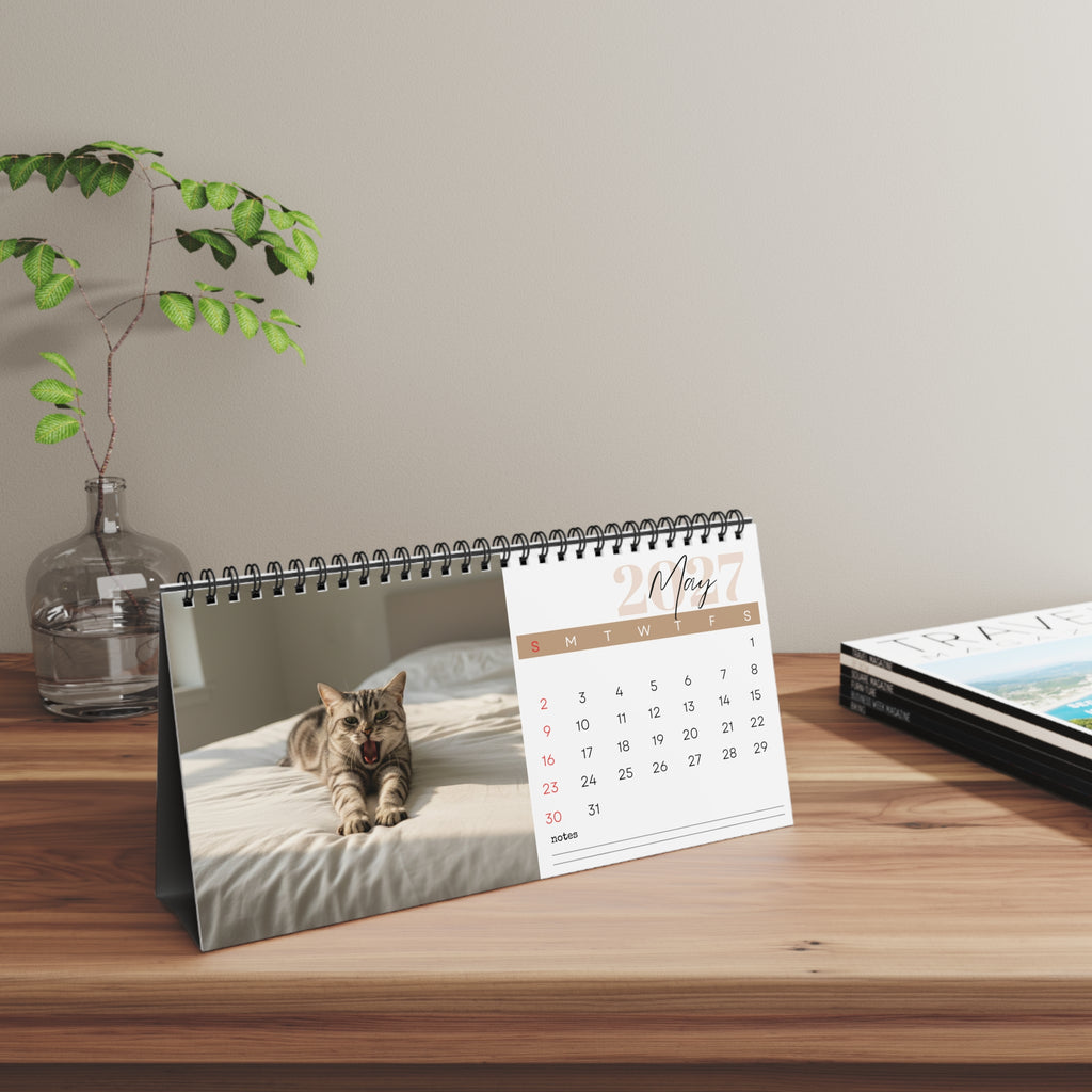 American Shorthair Cat Desk Calendar 2027