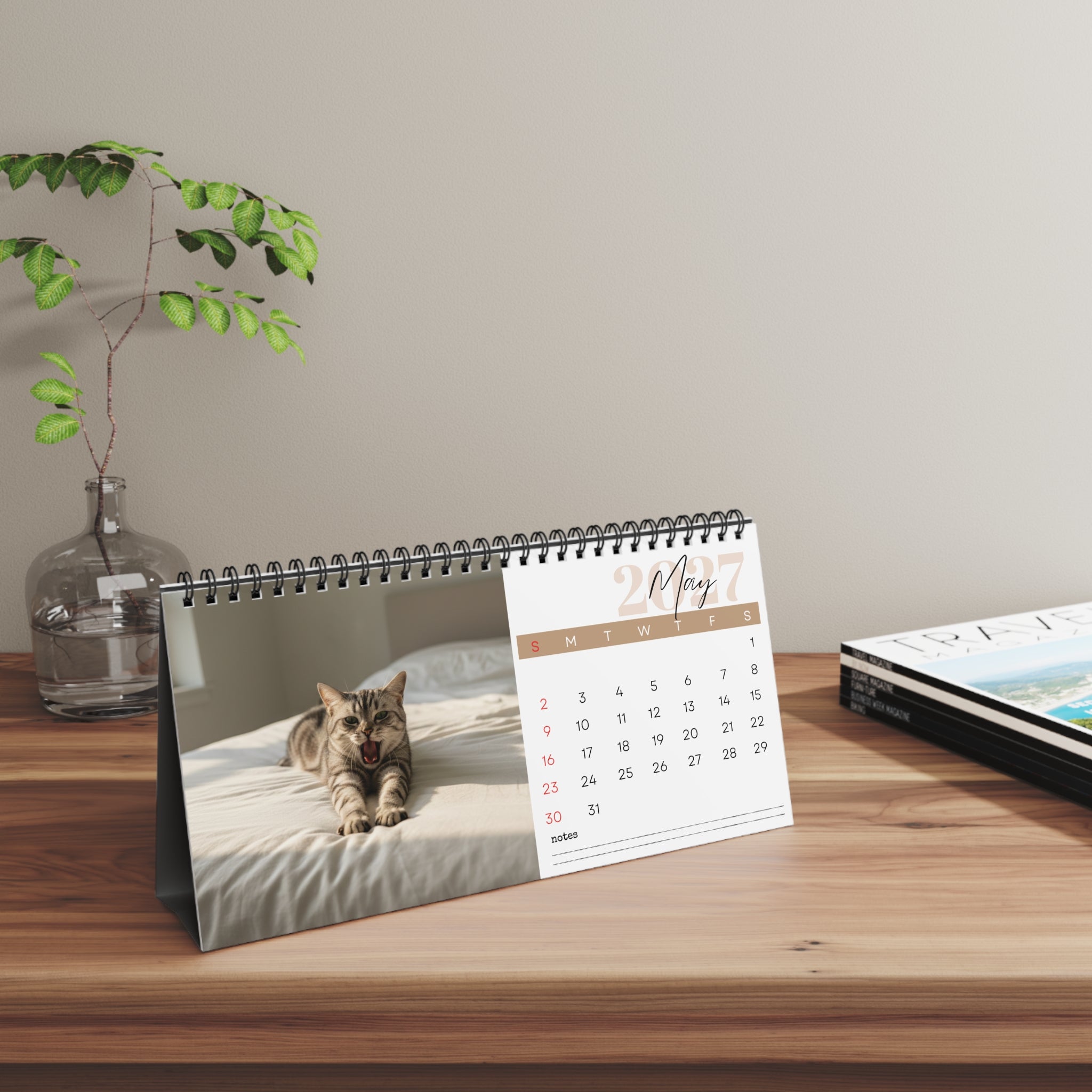 American Shorthair Cat Desk Calendar 2027
