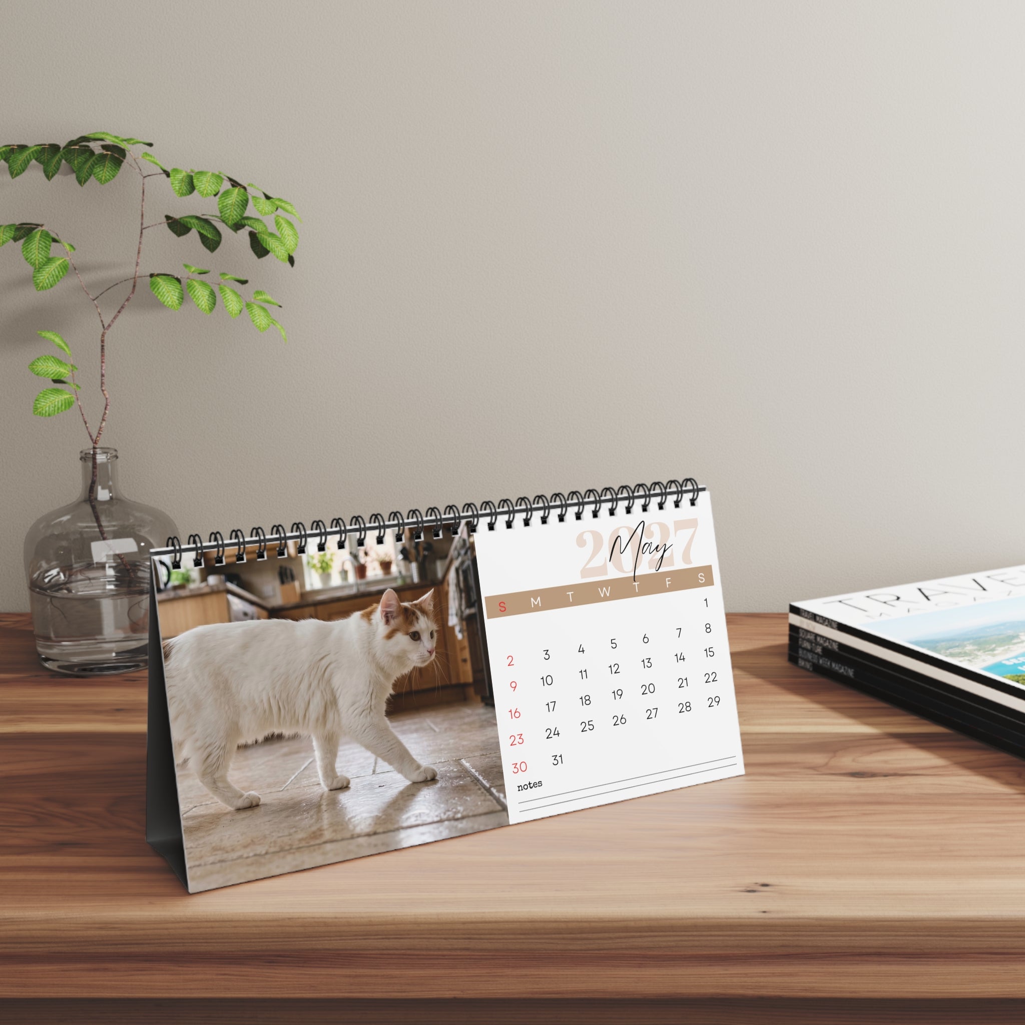 Turkish Van Cat Desk Calendar 2027