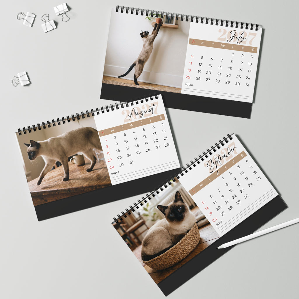 Siamese Cat Wall Calendar 2027