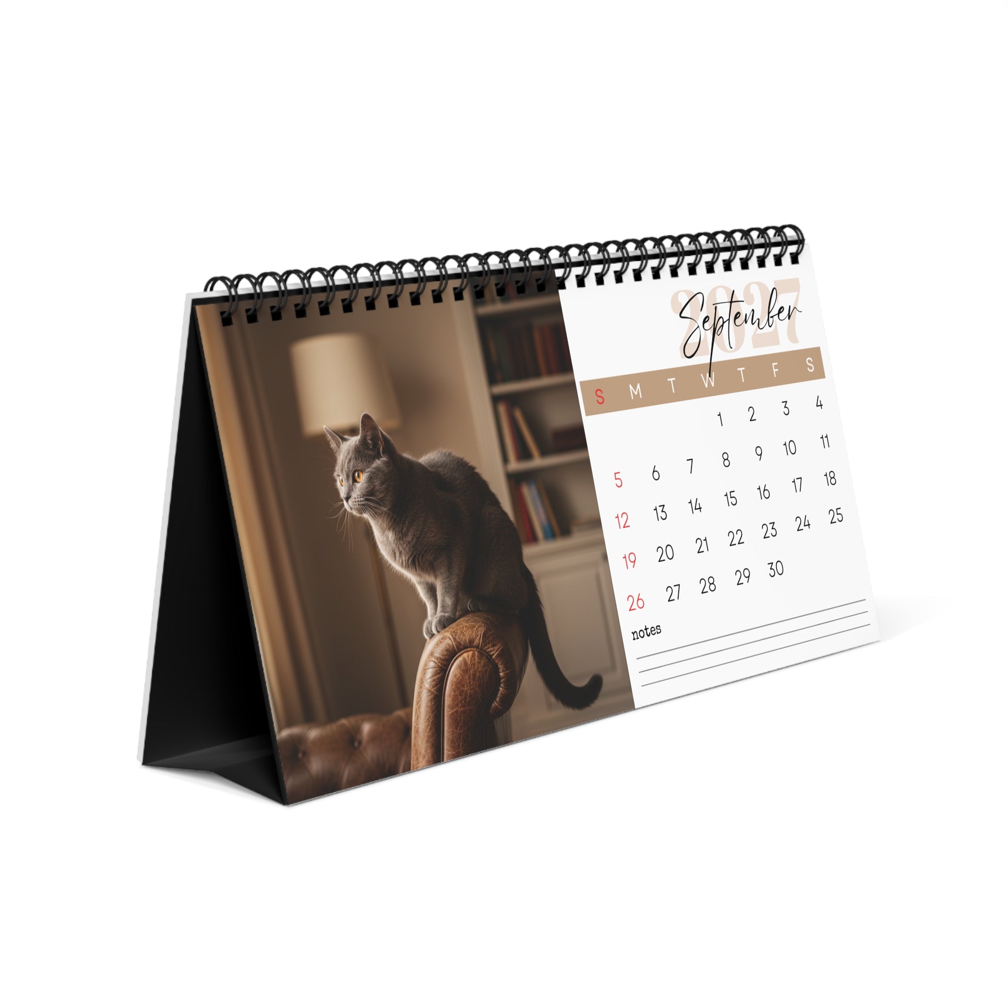 Chartreux Cat Desk Calendar 2027