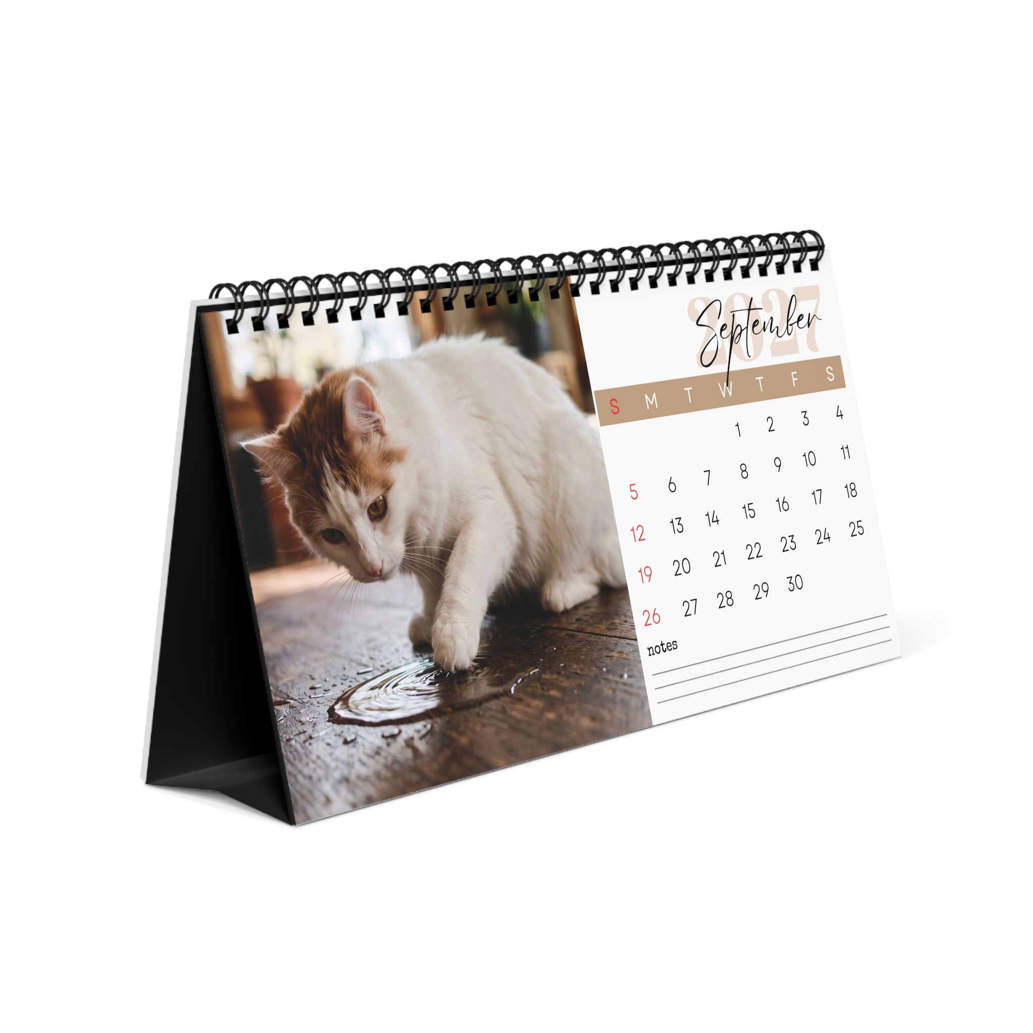 Turkish Van Cat Desk Calendar 2027