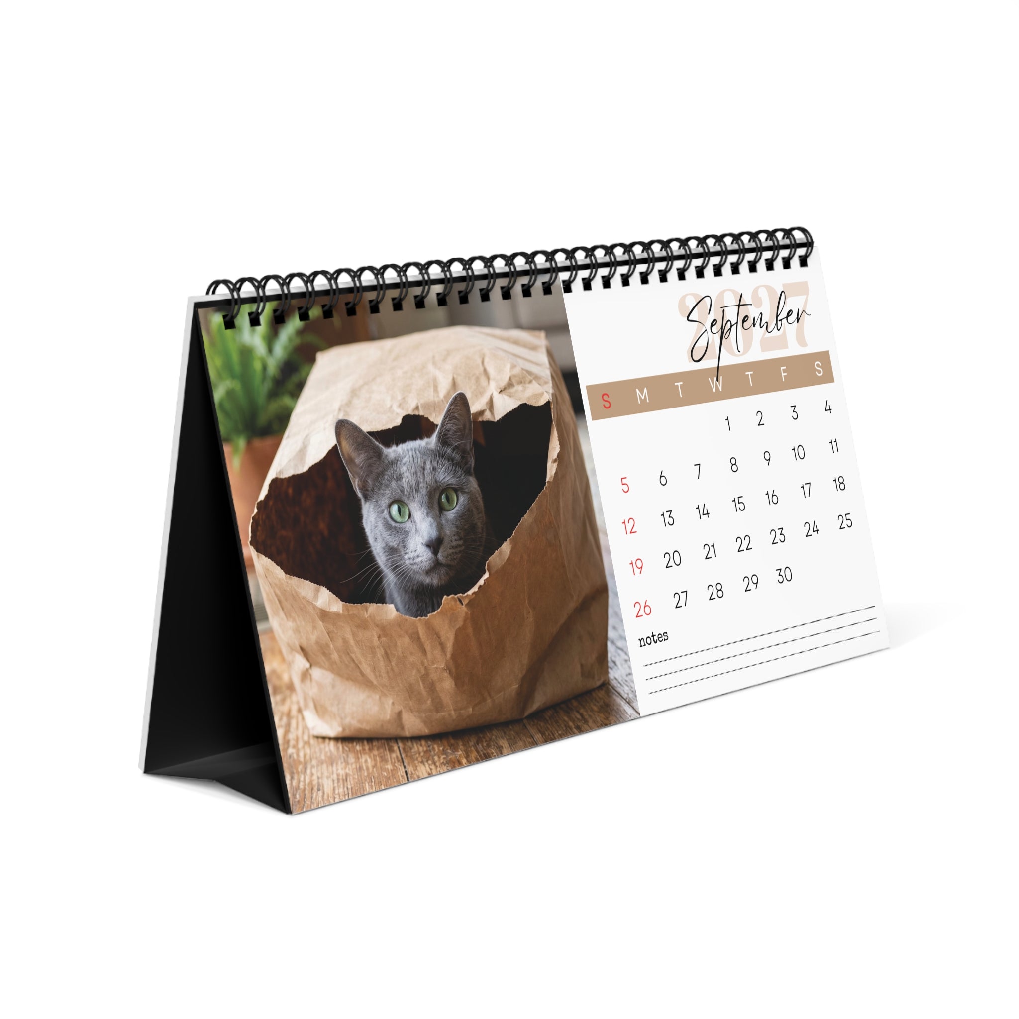 Russian Blue Cat Desk Calendar 2027