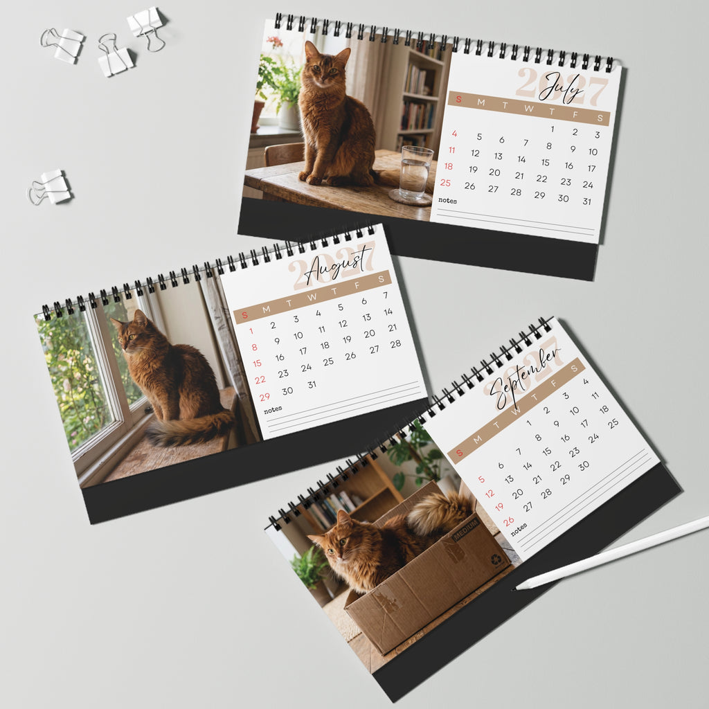 Somali Cat Desk Calendar 2027