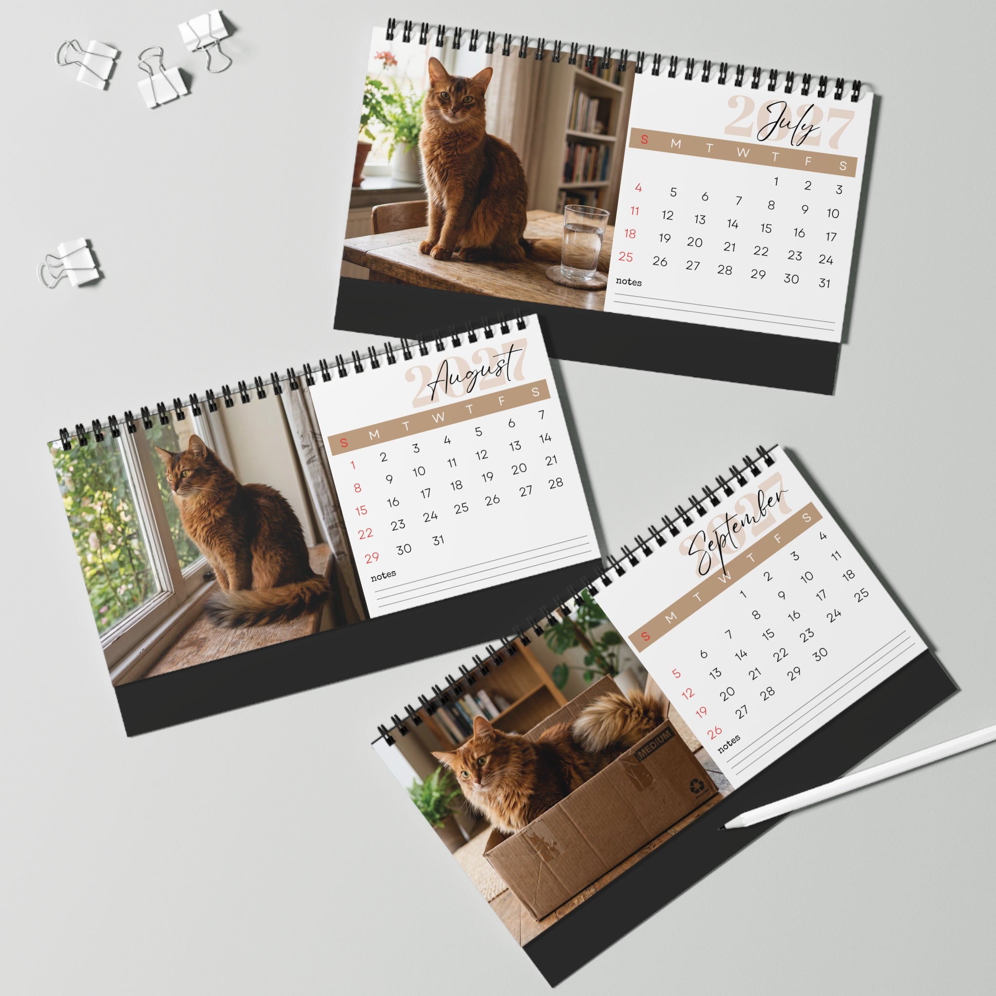 Somali Cat Desk Calendar 2027