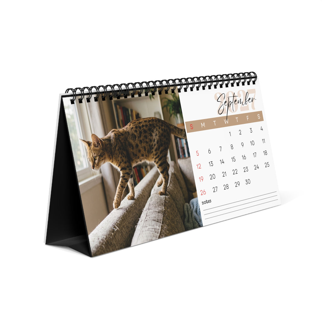 Savannah Cat Desk Calendar 2027