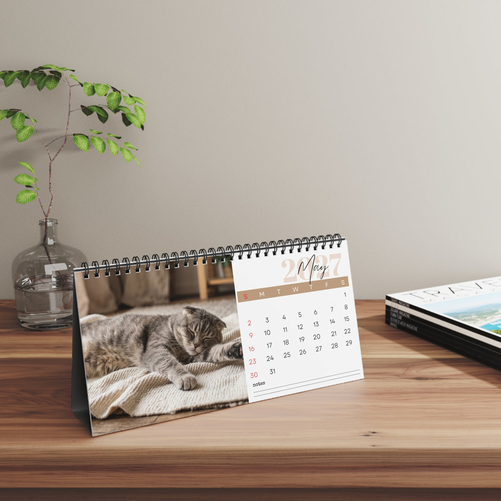 Scottish Fold Cat Desk Calendar 2027
