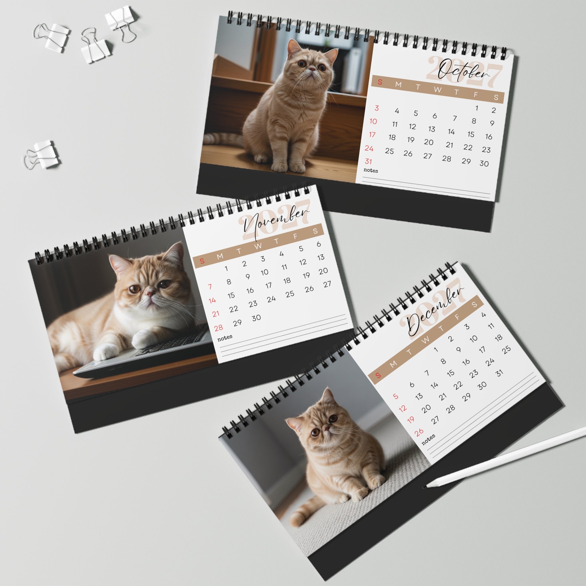 Exotic Shorthair Desk Calendar 2027