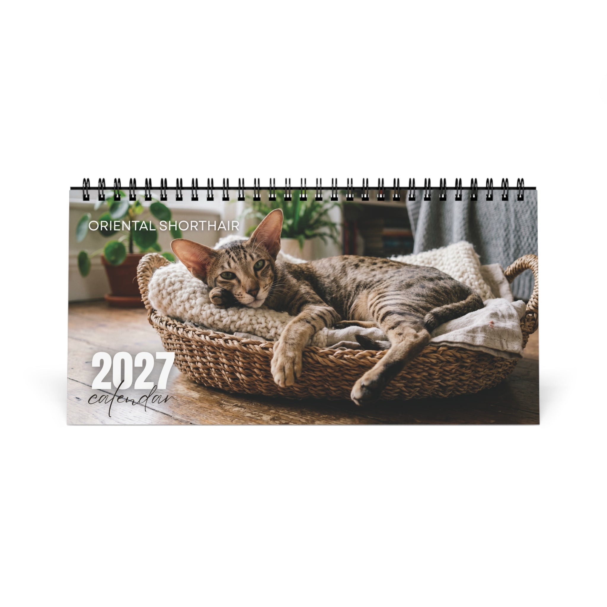 Oriental Shorthair Desk Calendar 2027