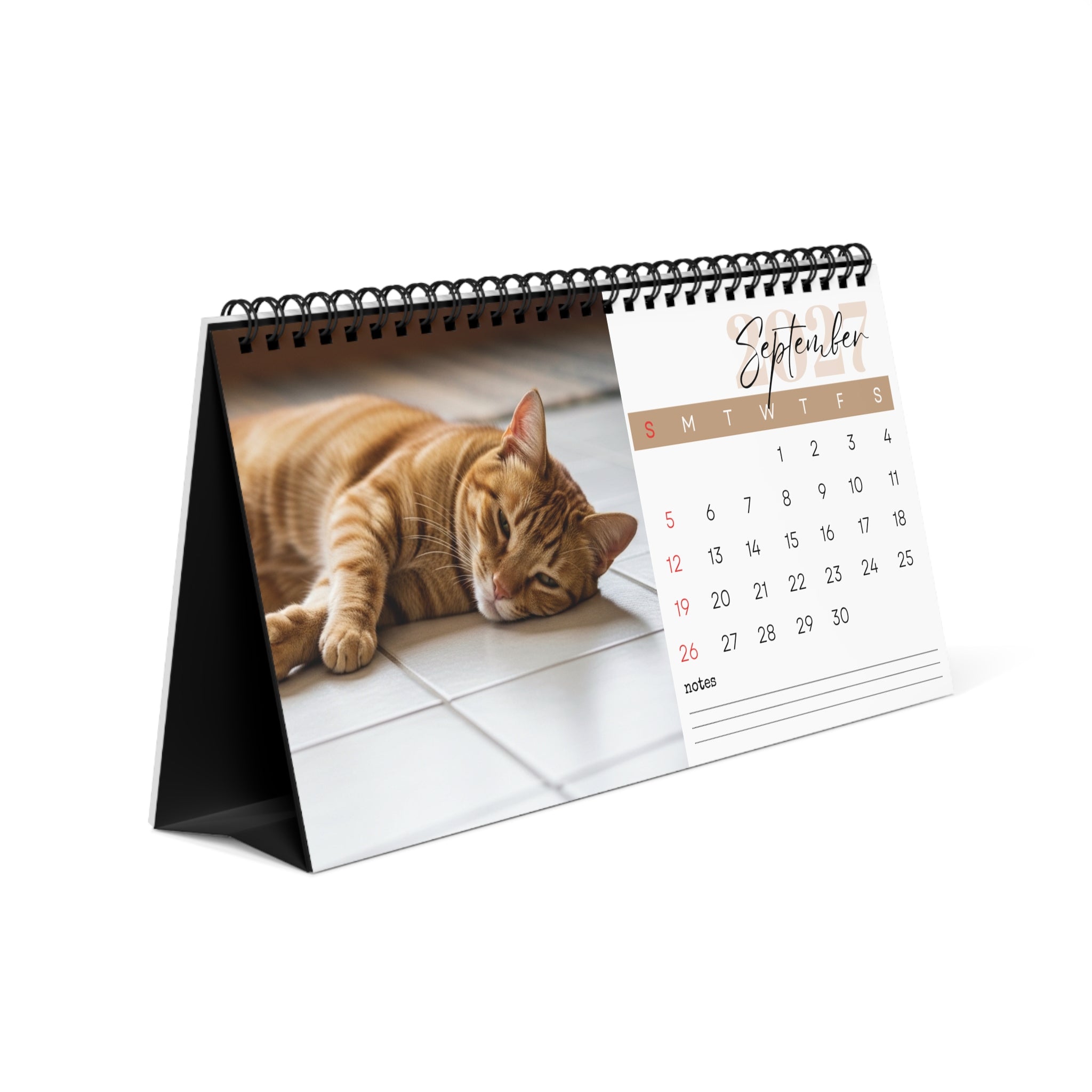 Ginger Cat Desk Calendar 2027