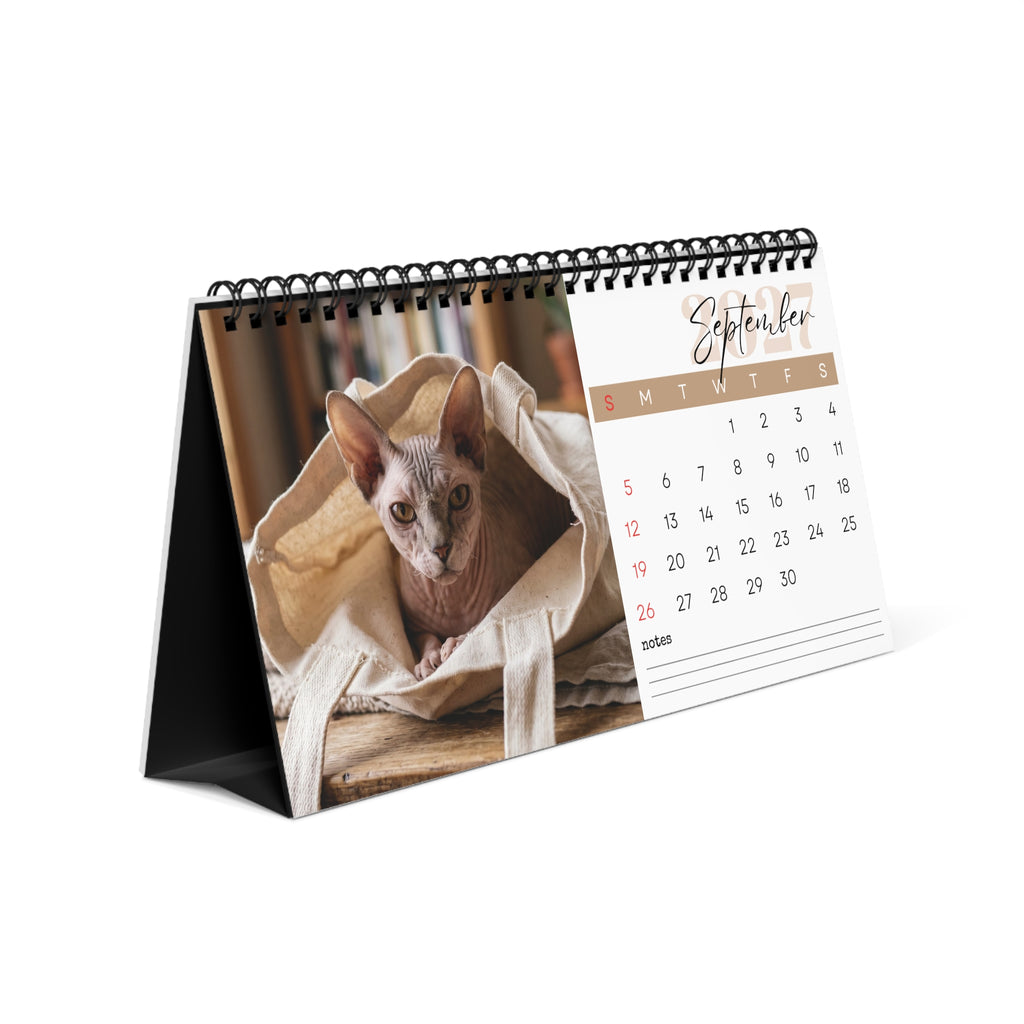 Sphynx Cat Desk Calendar 2027
