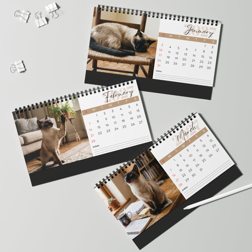 Siamese Cat Wall Calendar 2027