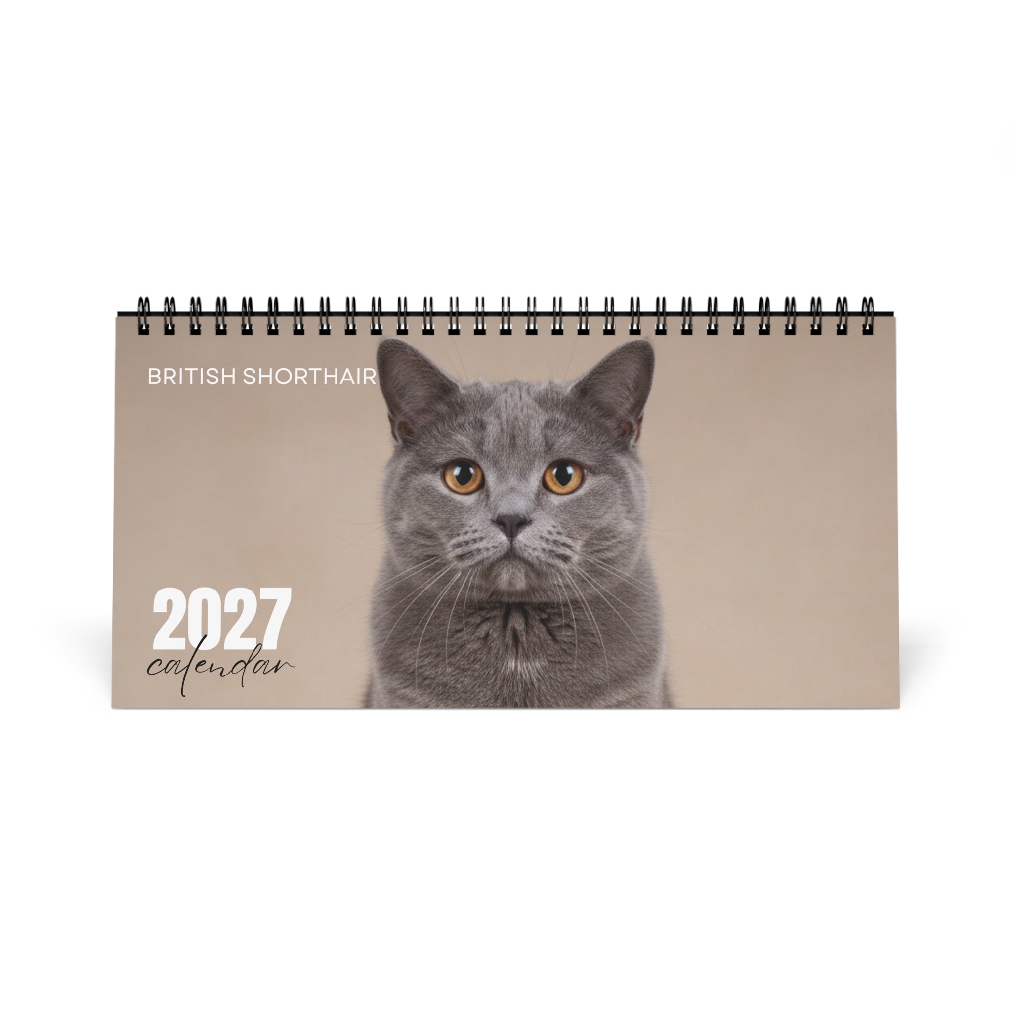 British Shorthair Desk Calendar 2027