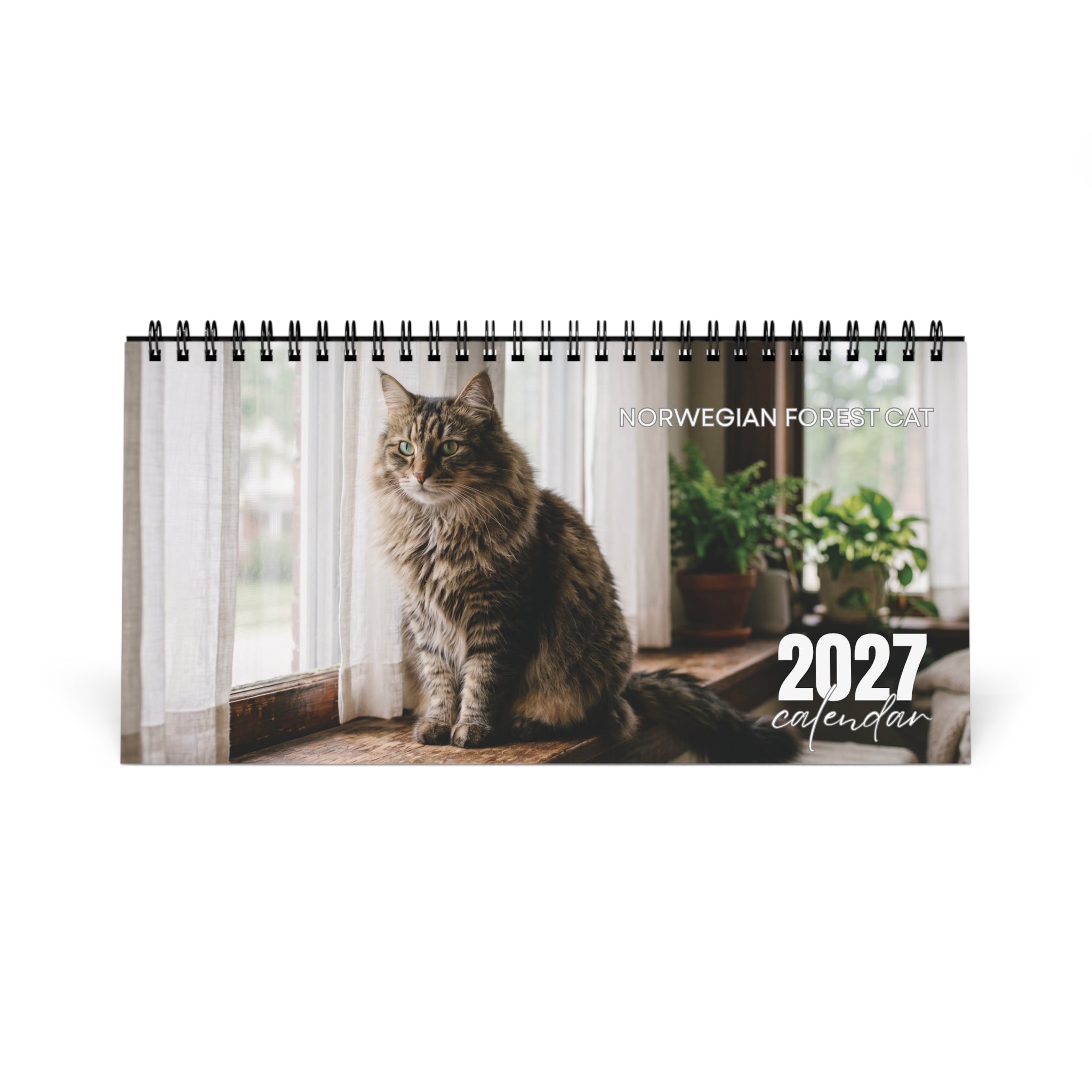 Norwegian Forest Cat Desk Calendar 2027