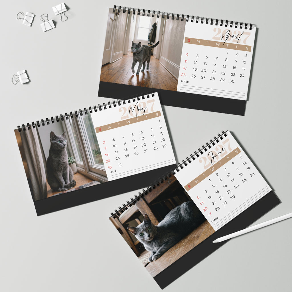 Russian Blue Cat Desk Calendar 2027