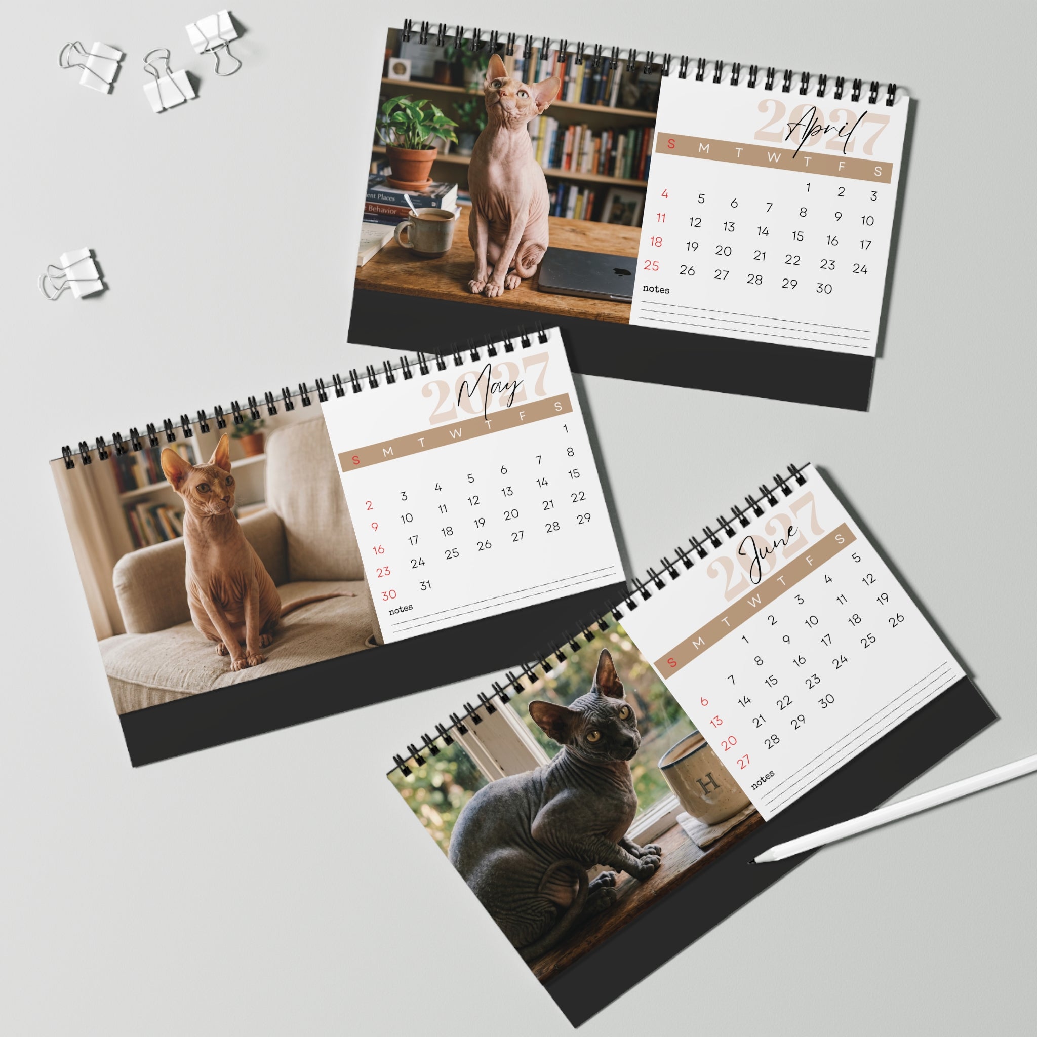 Sphynx Cat Desk Calendar 2027
